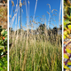 Photo samples from the Z Fold 4